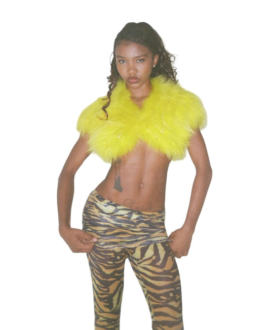 Yellow Tang Bolero